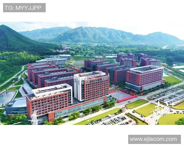 广州羽毛球队在世界杯背景下的转型与崛起之路探索