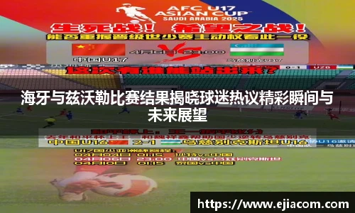 海牙与兹沃勒比赛结果揭晓球迷热议精彩瞬间与未来展望